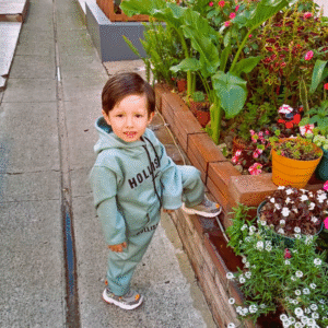 Sudadera Hollister Niño x Docena
