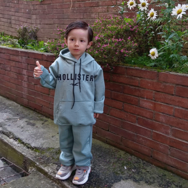 Sudadera Hollister Niño x Docena - Image 2